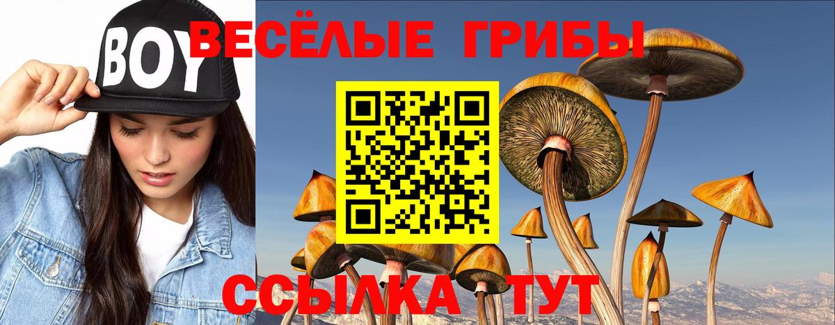 Галлюциногенные грибы мухоморы Городец